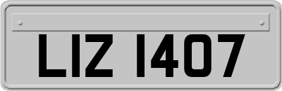 LIZ1407