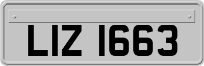 LIZ1663