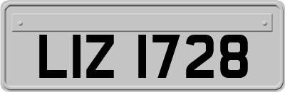LIZ1728