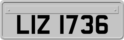 LIZ1736