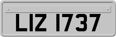 LIZ1737