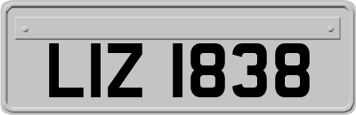 LIZ1838