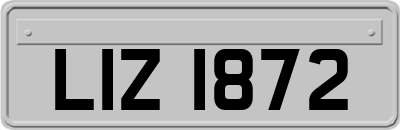 LIZ1872