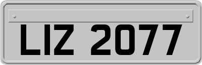 LIZ2077
