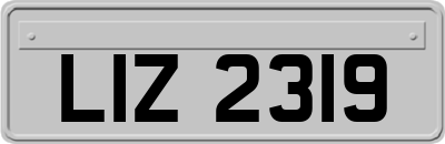 LIZ2319
