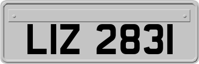 LIZ2831