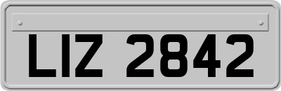LIZ2842