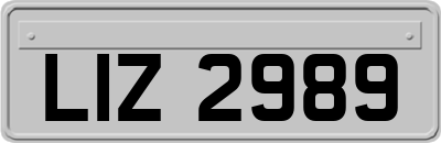 LIZ2989