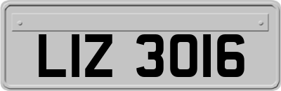 LIZ3016