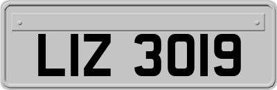 LIZ3019