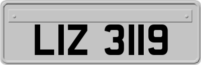 LIZ3119