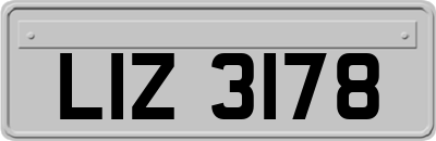 LIZ3178