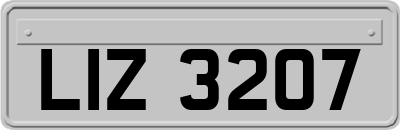 LIZ3207