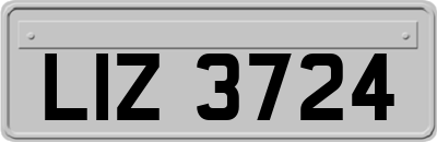 LIZ3724