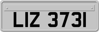 LIZ3731