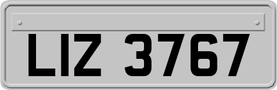 LIZ3767