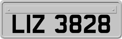 LIZ3828