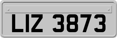 LIZ3873