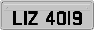 LIZ4019