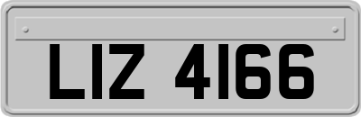 LIZ4166