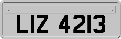 LIZ4213