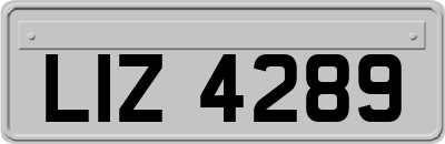 LIZ4289