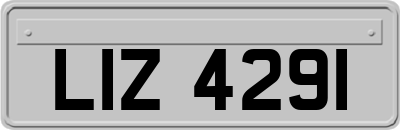LIZ4291