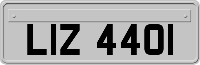 LIZ4401