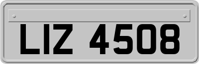 LIZ4508