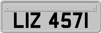 LIZ4571