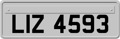 LIZ4593