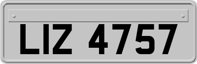 LIZ4757
