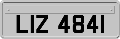 LIZ4841
