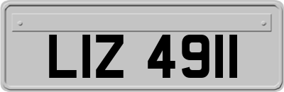 LIZ4911