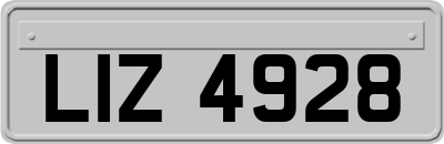LIZ4928