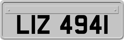 LIZ4941