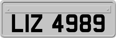 LIZ4989