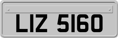 LIZ5160