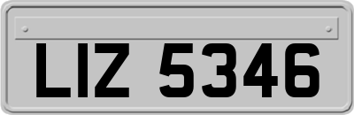 LIZ5346