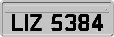 LIZ5384