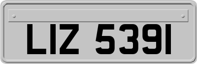 LIZ5391