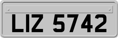 LIZ5742