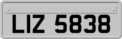 LIZ5838