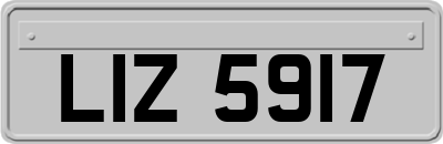 LIZ5917