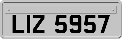 LIZ5957