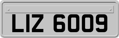 LIZ6009