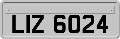 LIZ6024