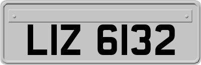 LIZ6132
