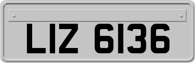 LIZ6136