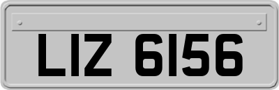LIZ6156